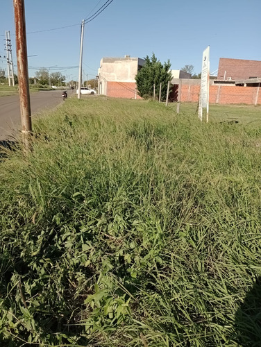 Lote 42 Esquina Los Cipreses