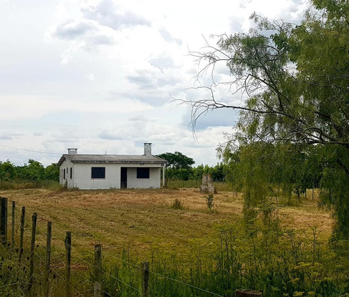 Imagen 2 de 9 de Oportunidad! Casa Sobre Camino Ariano - 1 Hectárea - Las Piedras