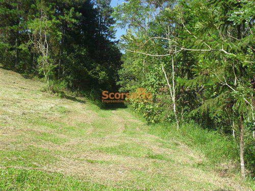 Chácara Com 2 Dorms, Mombaça, Itapecerica Da Serra - R$ 2 Mi, Cod: 734 - V734
