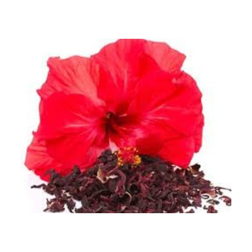 Flor De Hibisco