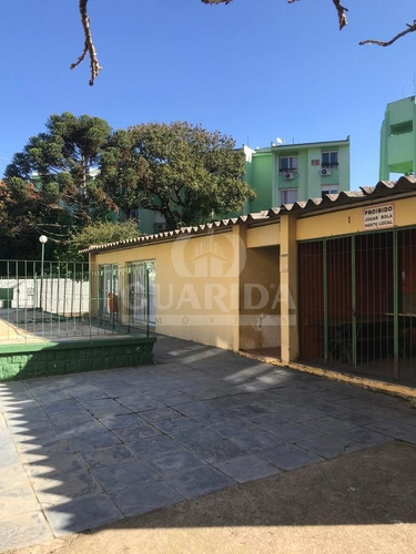 Apartamento - Jardim Carvalho - Ref: 202004 - V-202116