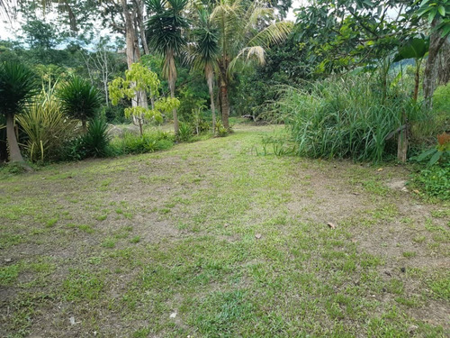 Imagen 8 de 11 de Amplia Y Funcional Finca De 14 Hectáreas En Bejuma - Inmobiliaria Maggi Cod. 866