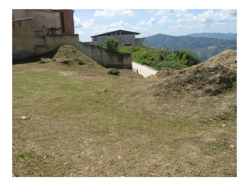 Imagen 5 de 6 de Vendo Terreno 600m2 Oripoto 6229