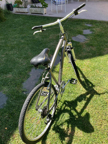 Bicicleta Urbana Zenith Plateado M (Usado)