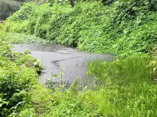 Increíble Terreno Con Agua