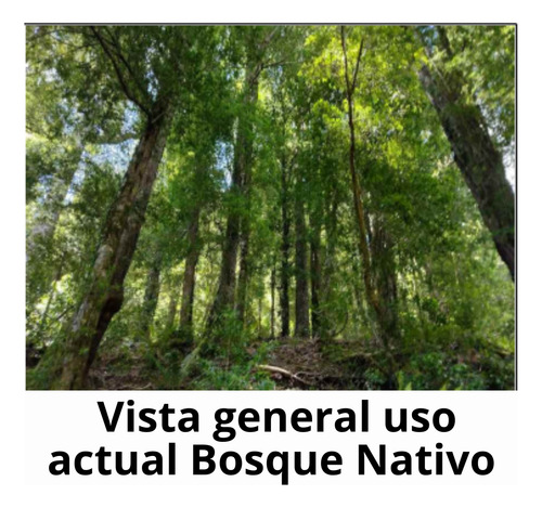 Agrícola Forestal En Venta En Cunco Ideal Proyecto Turistico