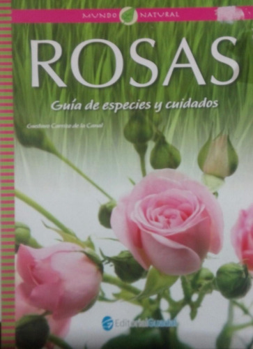 Rosas Guía De Especies Y Cuidados