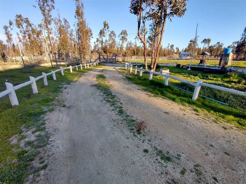 Venta Parcela 5.000 M2 Con Casa 5d/1b En Litueche