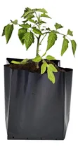 Comprar Macetas Nylon Negras Vivero Agro Jardín - 15 Lts. (x10u)