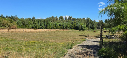 Parcela De 5000mts2 En Venta En Sector Los Junquillos