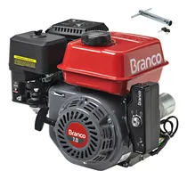 Comprar Motor Gasolina De Moenda Cana Garapeira 7hp P. Elétrica R7p