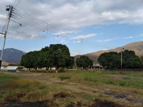 Imagen 21 de 30 de Joselyn Vargas Vende Finca Avicola En Vigirima 22-12944