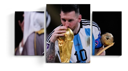 Cuadros Mural Triptico Messi Argentina Campeon Mundial Qatar