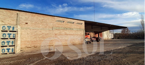 Imagen 26 de 30 de Galpón 1500 M2 En Allen