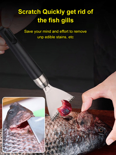 Raspador De Pescado Doméstico De Acero Inoxidable, Escalador