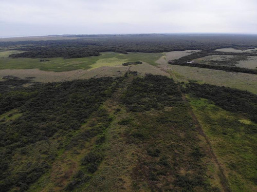 Renta Terreno 7,000 M² Cerca De Apitux Tuxpan Veracruz