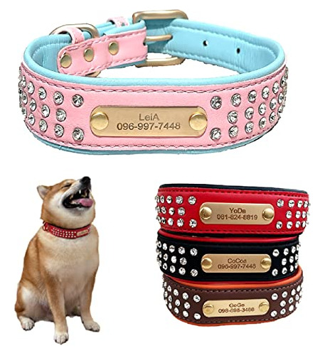 ¡lo Más Caliente! Collar Personalizado Para Perros Medianos