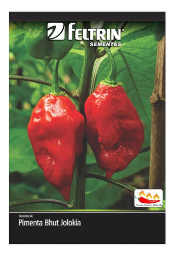 4x Sementes De Pimenta Cascavel (bhut Jolokia) Feltrin