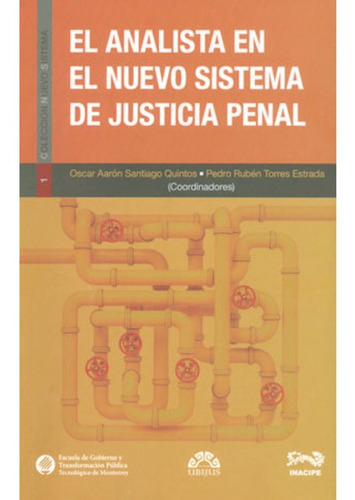 El Analista En El Nuevo Sistema De Justicia Penal (2017)