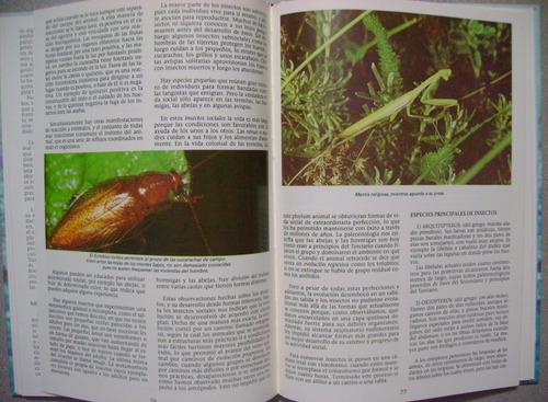 Ciencias Naturales Medio Ambiente Y Ecología Enciclopedia 3t