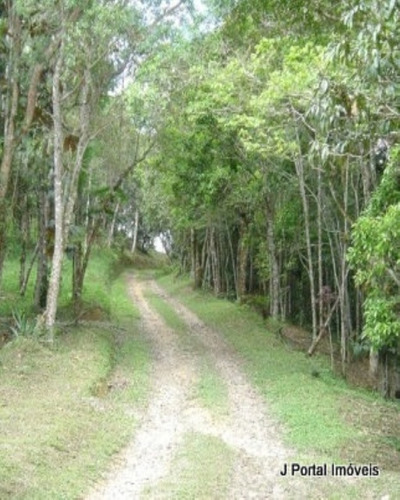 Imagem 11 de 25 de Sitio - 114 - 32939181