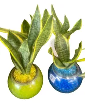 Comprar Bowl De Vidrio Fiestas Adornos Florero Jarron Briceros