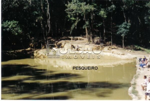 Imagem 6 de 8 de Chacara - Jardim Boa Vista - Ref: 20764 - V-20764