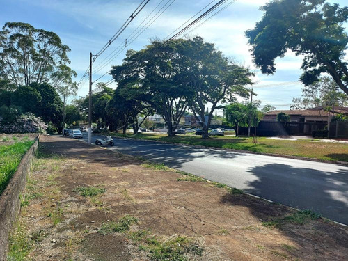 Imagem 6 de 7 de Terrenos - Ref: V8168