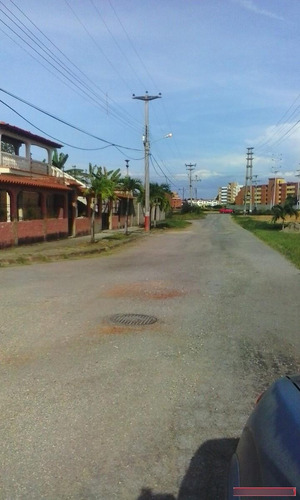 Imagen 3 de 5 de Terrenos En Venta