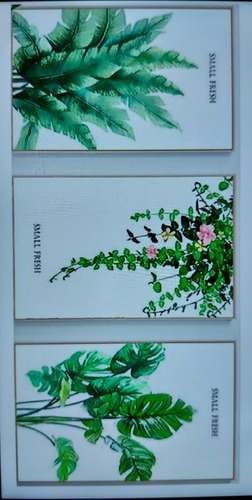 Diamond Painting - Plantas 180x80 - Entrega Inmediata