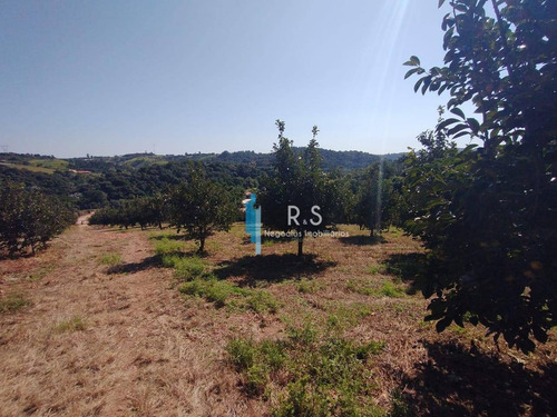 Sítio À Venda, 40000 M² Por R$ 2.000.000,00 - Engenho Seco - Louveira/sp - Si0009