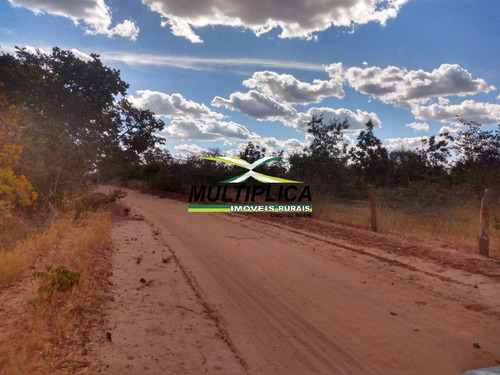 Imagem 3 de 15 de Fazenda 102,22 Hectares, R$ 2.788,10 Ha, Santa Fé De Minas Mg, Pecuária, - 442