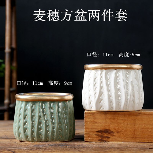 Maceta Para Plantas Suculentas, Creativa, De Cerámica
