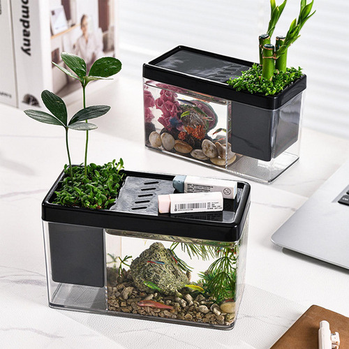 Pecera Betta Aquarium Transparente For Peces Betta Pequeña