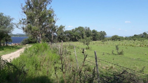 Imagen 5 de 6 de Venta Fracción Segunda Linea Lago De Embalse