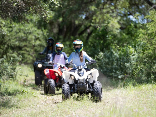 Imagen 9 de 15 de Canam Ds 90 Cuatri 0km No Yamaha Honda Motomel Usd