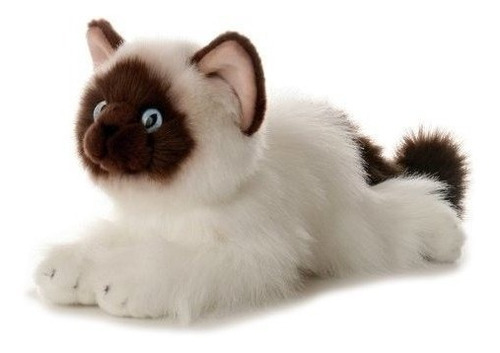 Aurora Flopsie 12 Bella Birman Cat Multi