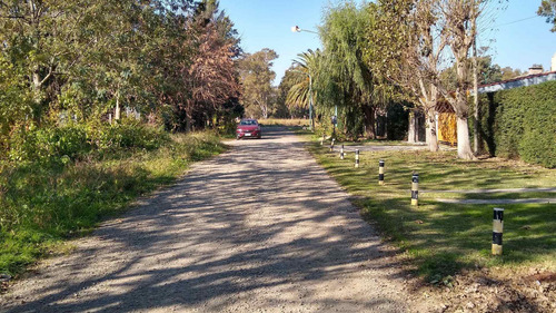 Imagen 13 de 14 de Venta De Lote En Bloque, 1300 Mts Punta Lara