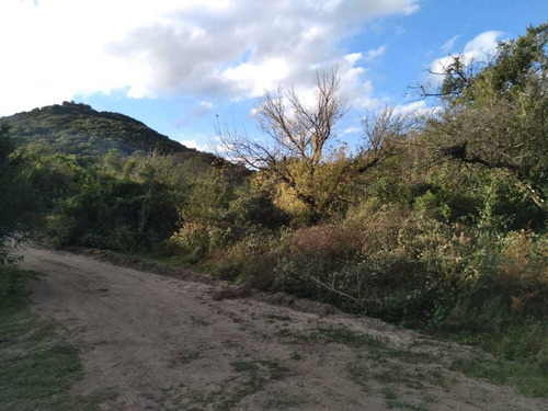 Imagen 4 de 6 de Terreno En Venta En Cabana Excelente Oportunidad