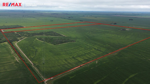 Venta Campo 140 Has Sobre Ruta 36 Almafuerte Cba