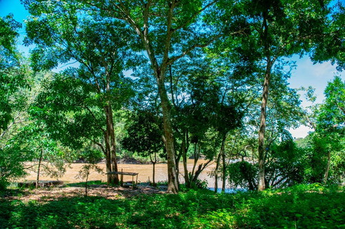 Imagem 8 de 14 de Sítio No Rio Mogi Guaçu - 7.264 Hectares - 72.640 M2