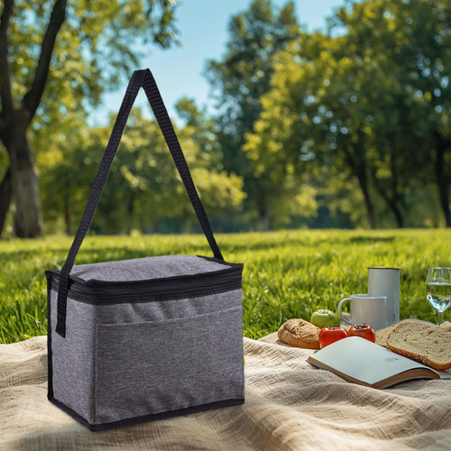 Bolsa De Más Refrigerador Bacita De Almuerzo Viajes Gris