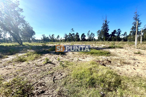 Terreno En Parque Burnet
