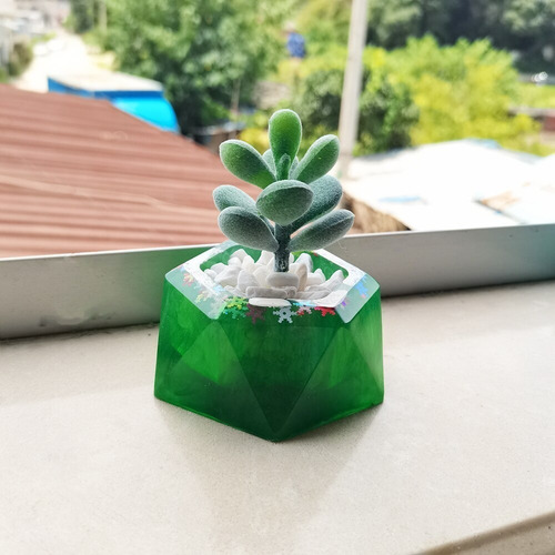 Imagen 4 de 5 de Molde Maceta Silicona Plantas Suculentas Jarcstore