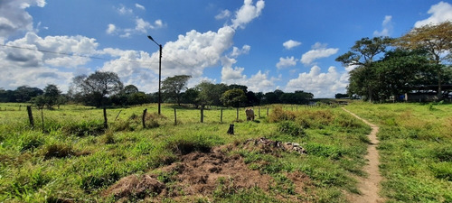 Imagen 6 de 14 de Se Vende Finca 72 Has Orilla De Carretera Manzanita