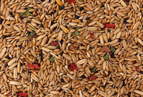 Imagen 5 de 6 de Mezcla Especial Canarios Alimento Aves Pajaros 750gr