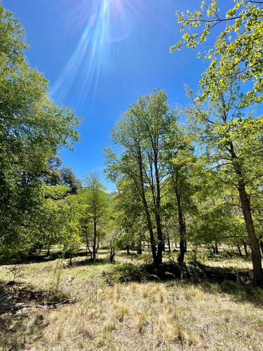 Exclusivos Lotes De 5.000 M2 En Malalcahuello / Corralco