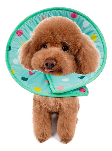 Gato Cono Perro Cono E Collar Anti Mordedura Lick M M