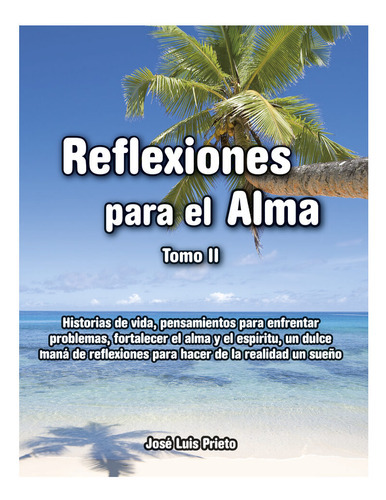 Reflexiones Para El Alma Tomo 2 - José Luis Prieto, De José Luis Prieto., Vol. 2. Editorial Reflexiones Para El Alma, Tapa Blanda En Español, 2016