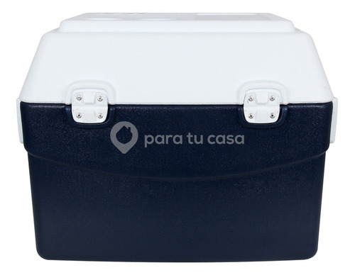 Imagen 2 de 10 de Conservadora Heladerita Portatil Playa Camping 55 L Mor